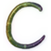 164