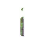 196