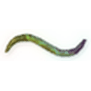 224