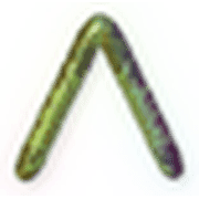 231