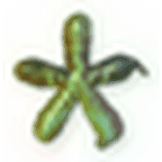 233