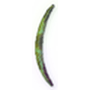 234