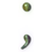 243