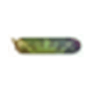 251