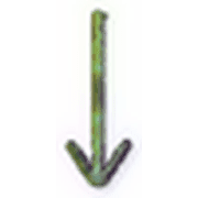 261