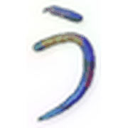 003