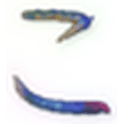 010