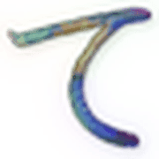019