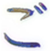 060
