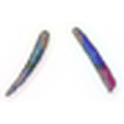 106