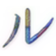121
