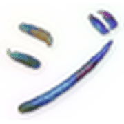 142