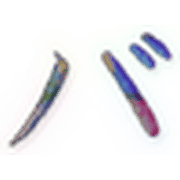 151