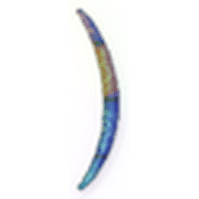 235
