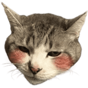 004