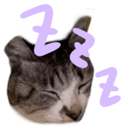 020