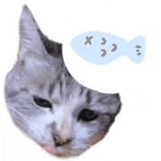 021