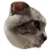 026