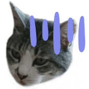 038