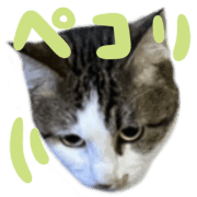 039