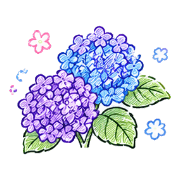 005