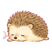 004