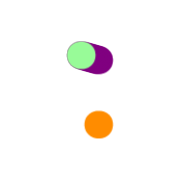 244