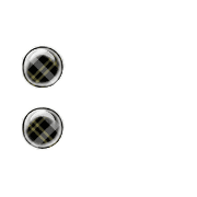 244