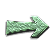101
