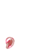 245