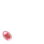 256
