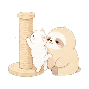 020