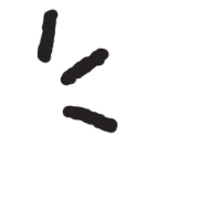 004
