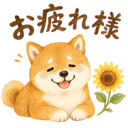 003