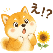 005