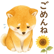 009