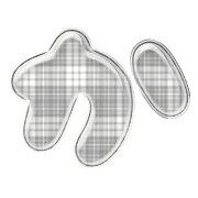 006