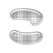 010