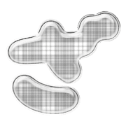 061