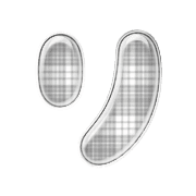 120
