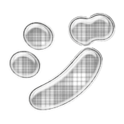 142