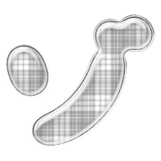 145