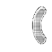 234