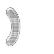 235