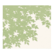 026