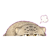 004