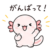 011
