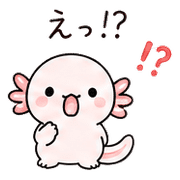 019