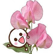 005