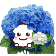 013